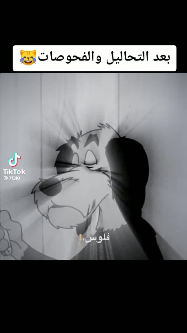 amino-༒☬كُہيہان☬༒-7e1dcb2e