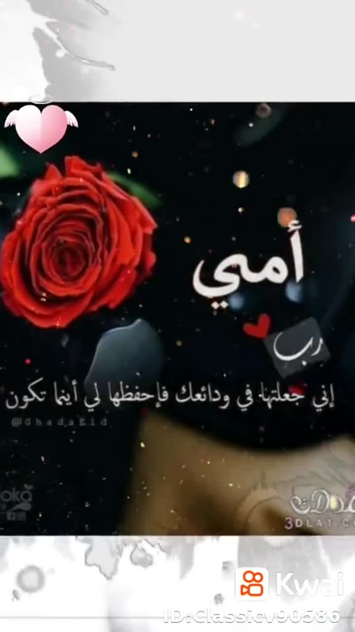 amino-الا⃢ســ͜ℛــ͢͡ـم꙰ــ᭄ۛۛۛ͢͠ـۛۛ͜ــۛرانـﹻ۬ﹻ͢᪤ؔؔﹻ۬ـ⃢ي-e19a286e