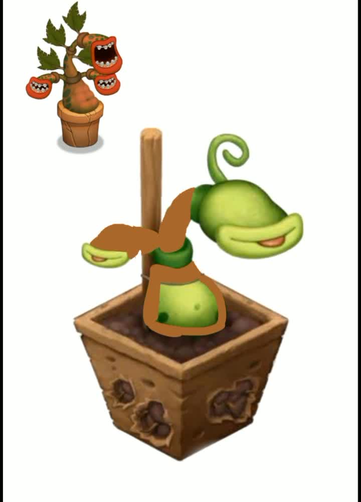 wubbox rare planta pança