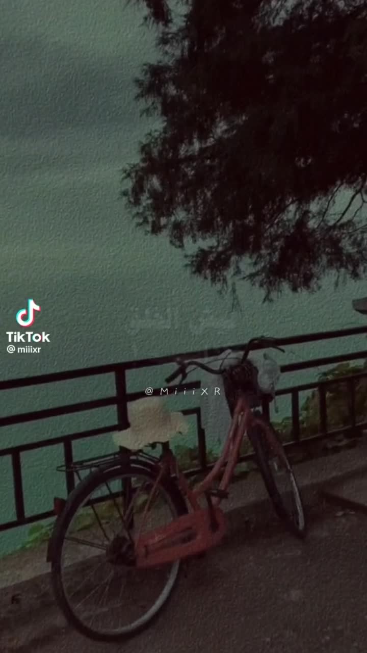 amino-حمودي الباشا-337e18fd