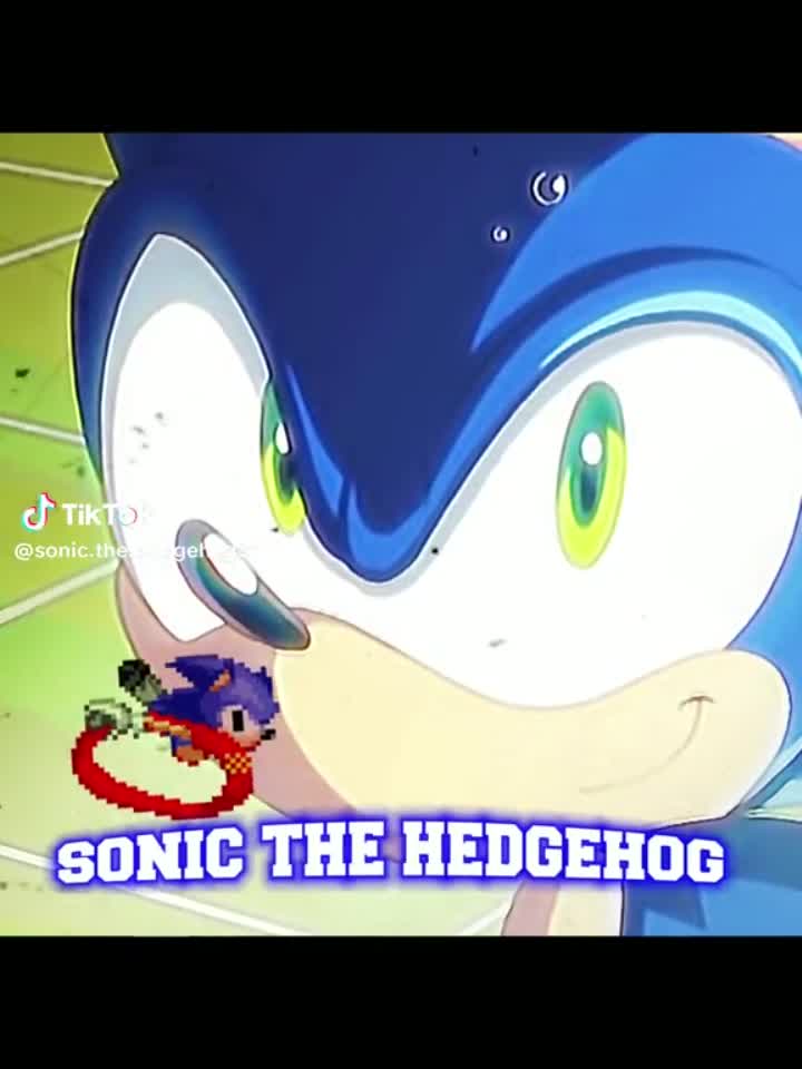 amino-speleta the hedgehog-84d56ec2