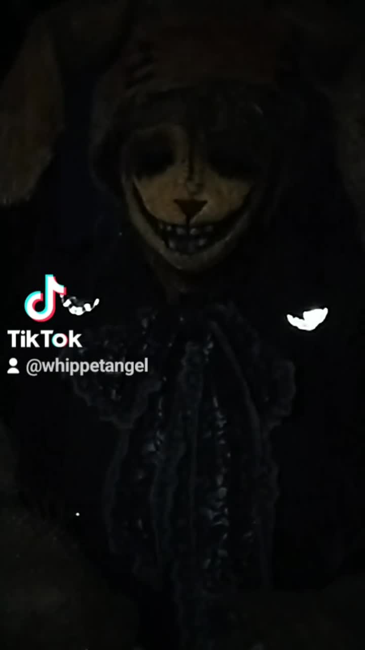 amino-whippetangel-531b44db