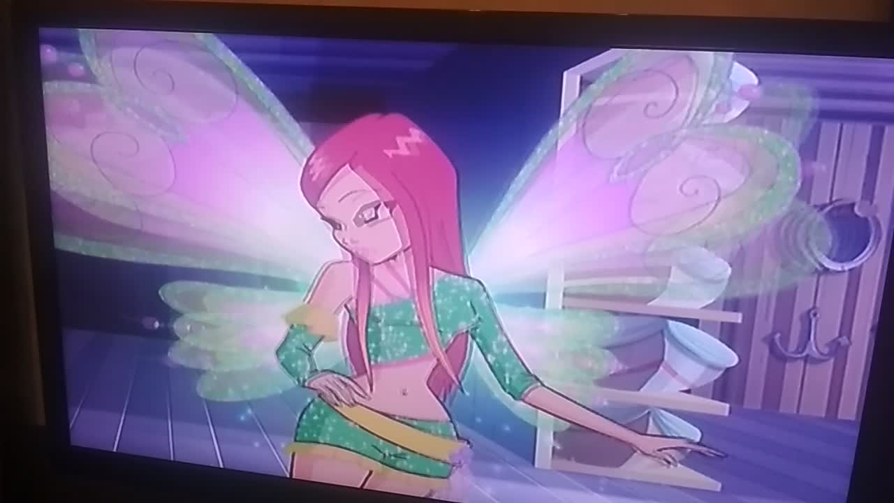 Все мои диски! | Wiki | Winx Club | Русский Amino