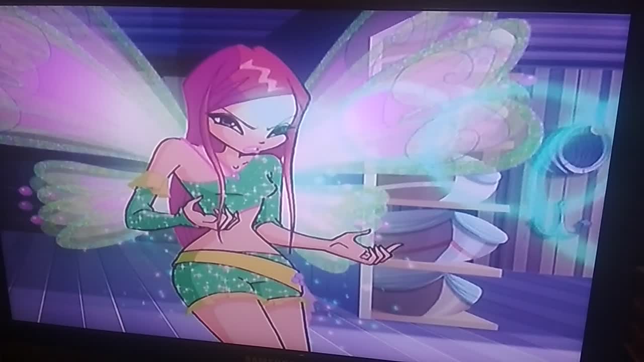 Все мои диски! | Wiki | Winx Club | Русский Amino